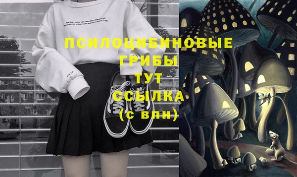 apvp Вязьма