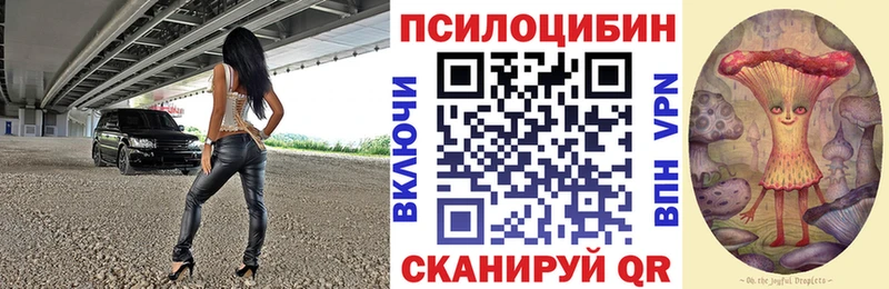 купить закладку Нижнекамск Псилоцибиновые грибы Cubensis